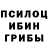 Псилоцибиновые грибы Psilocybe GODBLESS *