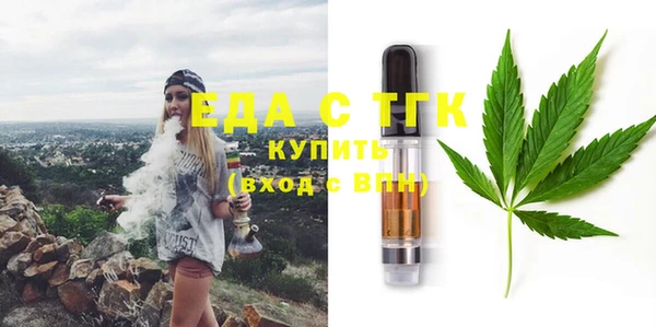 стаф Каменка