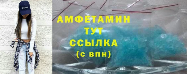 стаф Каменка