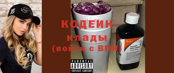 стаф Каменка