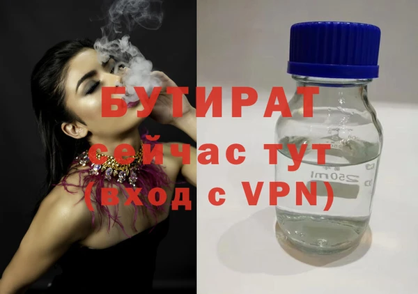 стаф Каменка