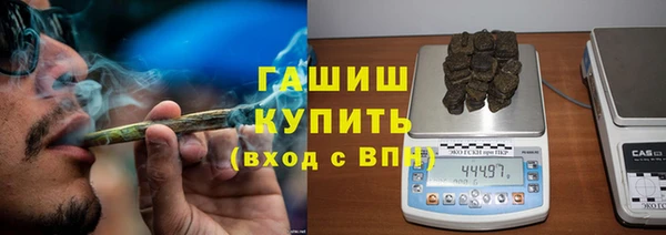 стаф Каменка