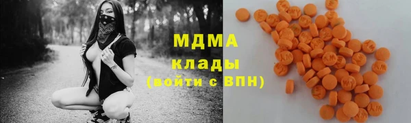 стаф Каменка