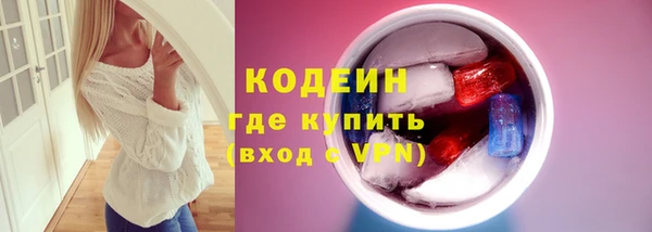 стаф Каменка