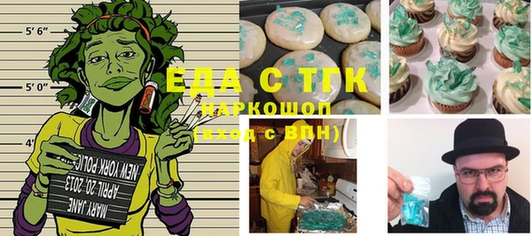 стаф Каменка