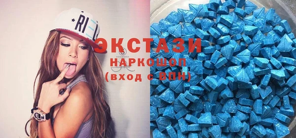 стаф Каменка