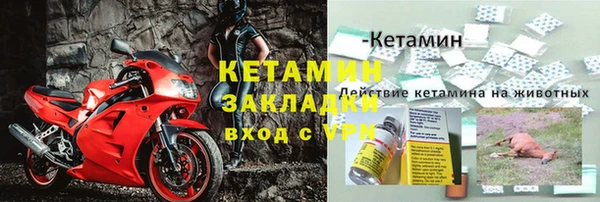 стаф Каменка