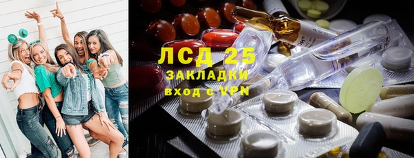 стаф Каменка