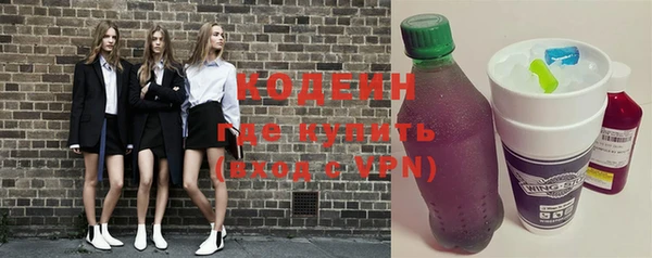 стаф Каменка