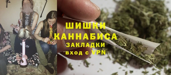 стаф Каменка