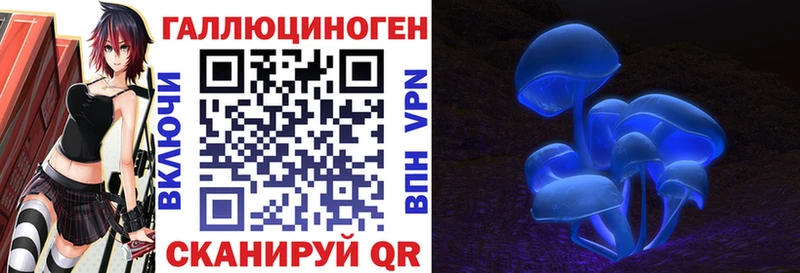 Псилоцибиновые грибы GOLDEN TEACHER  что такое   блэк спрут сайт  Медвежьегорск 